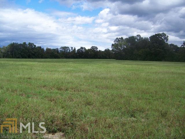 505 Newsome Road Reynolds, GA 31076 - Photo 1 of 1