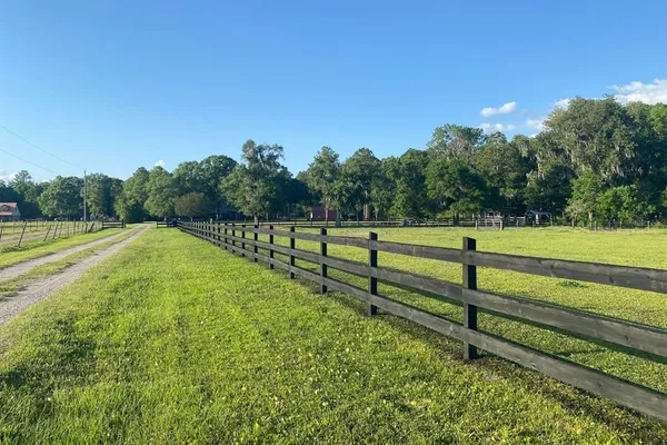a view of a yard with large trees