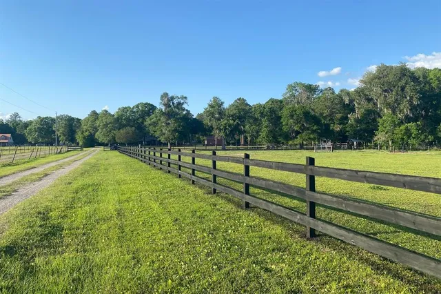 a view of a yard with large trees