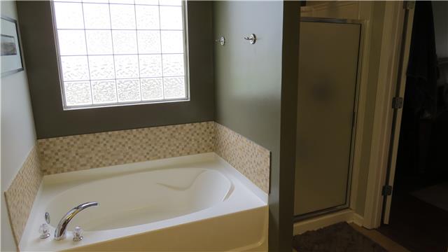 1006 Countess Lane Spring Hill, TN 37174 - Photo 10 of 19 Master bath tub and shower