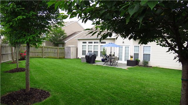 1006 Countess Lane Spring Hill, TN 37174 - Photo 18 of 19 Back yard with fully fenced with wonderful lawn and trees