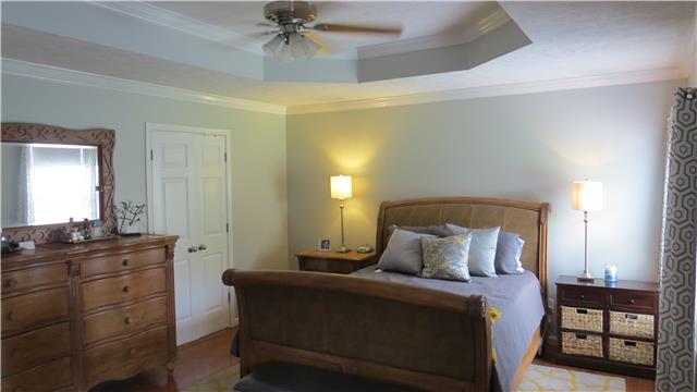 1006 Countess Lane Spring Hill, TN 37174 - Photo 7 of 19 Big Master Suite with tray ceiling
