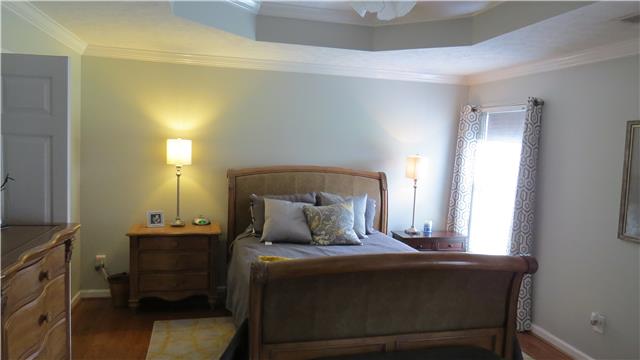 1006 Countess Lane Spring Hill, TN 37174 - Photo 8 of 19 Wonderful Master Suite with ceiling fan and walkin closet