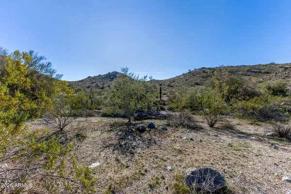 a view of a mountain range with trees in the background