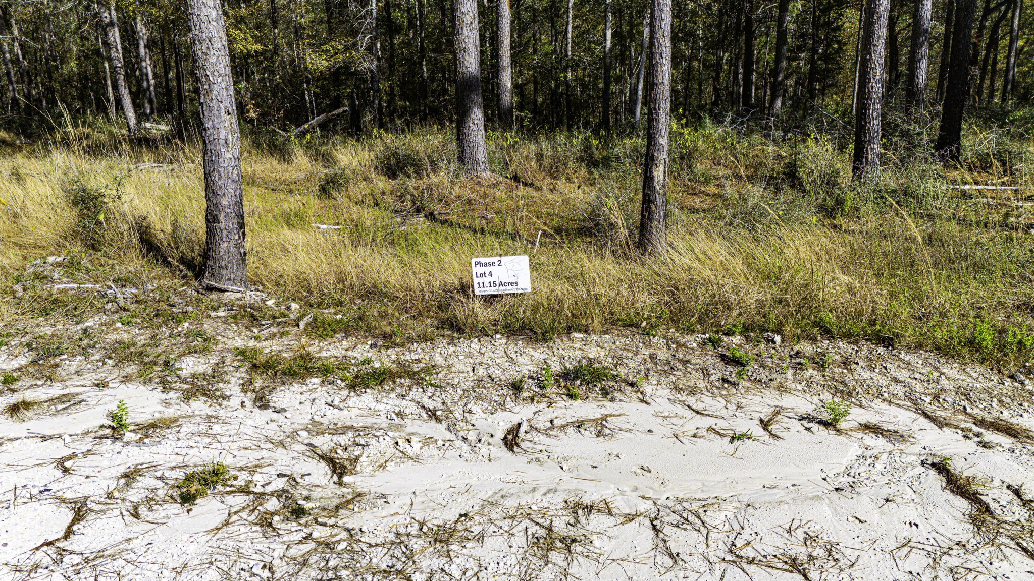 24 Magnolia Ranch Road Onalaska, TX 77360 - Photo 2 of 10