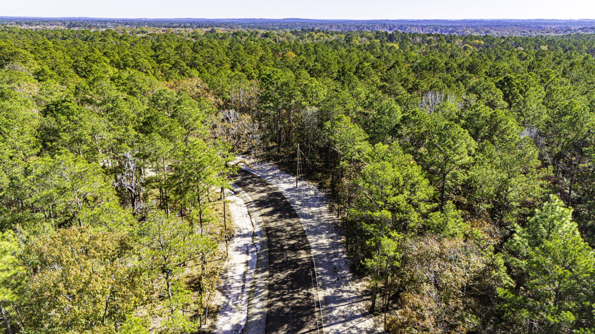 24 Magnolia Ranch Road Onalaska, TX 77360 - Photo 5 of 10