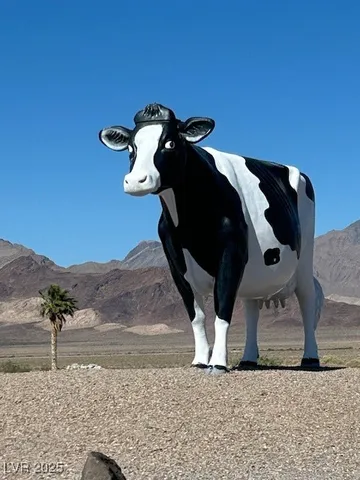 $115,000 | 743 Hilda Jane Way, Amargosa Valley, NV 89020