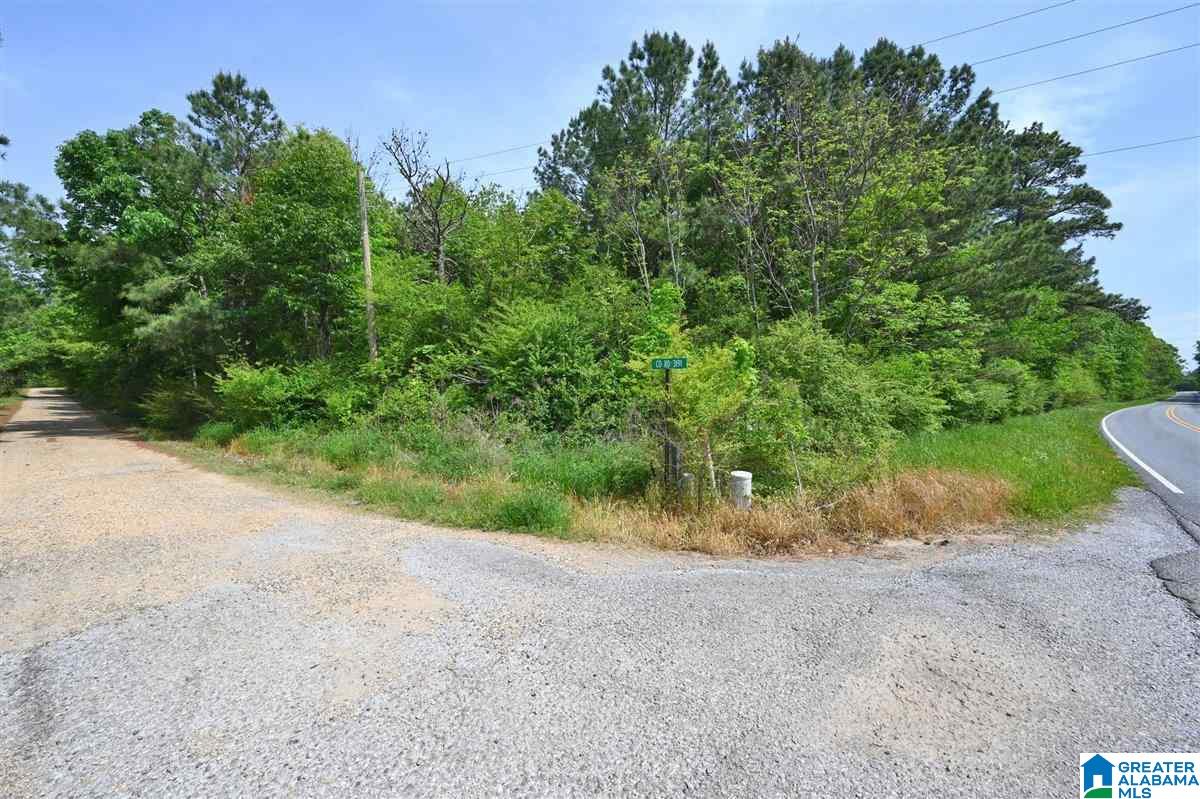 0 Helicon Road Arley, AL 35541 - Photo 4 of 6