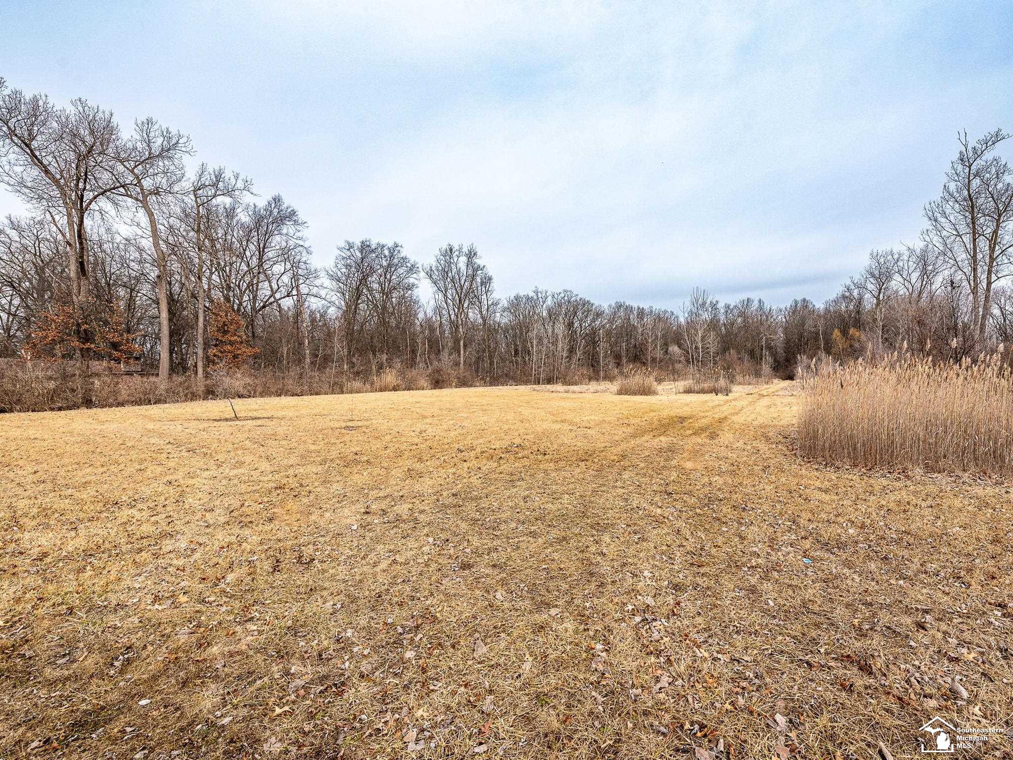 Nadeau Road Monroe, MI 48162 - Photo 2 of 9