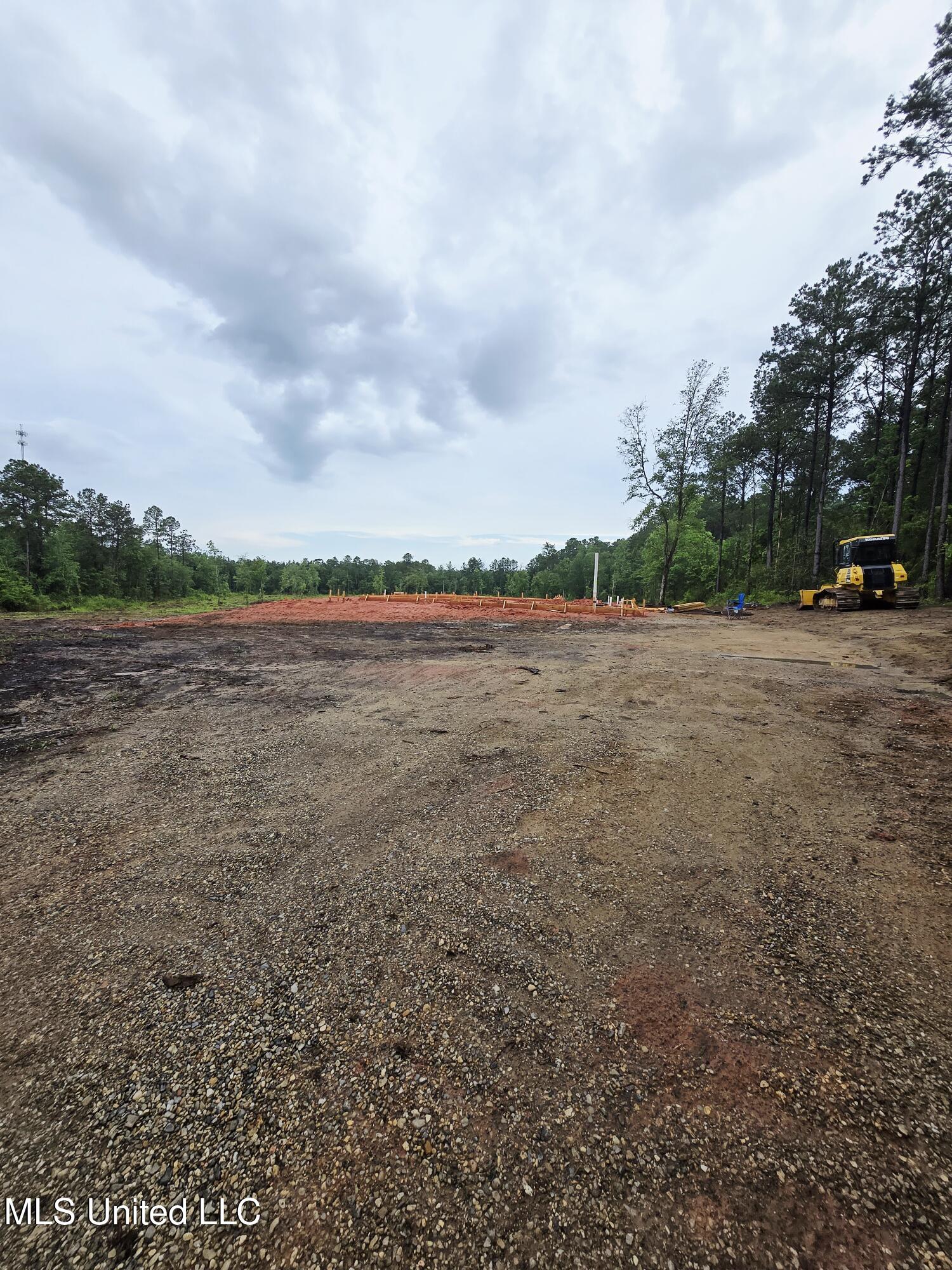 236 Baucum Road Carriere, MS 39426 - Photo 3 of 9 20250608_182512