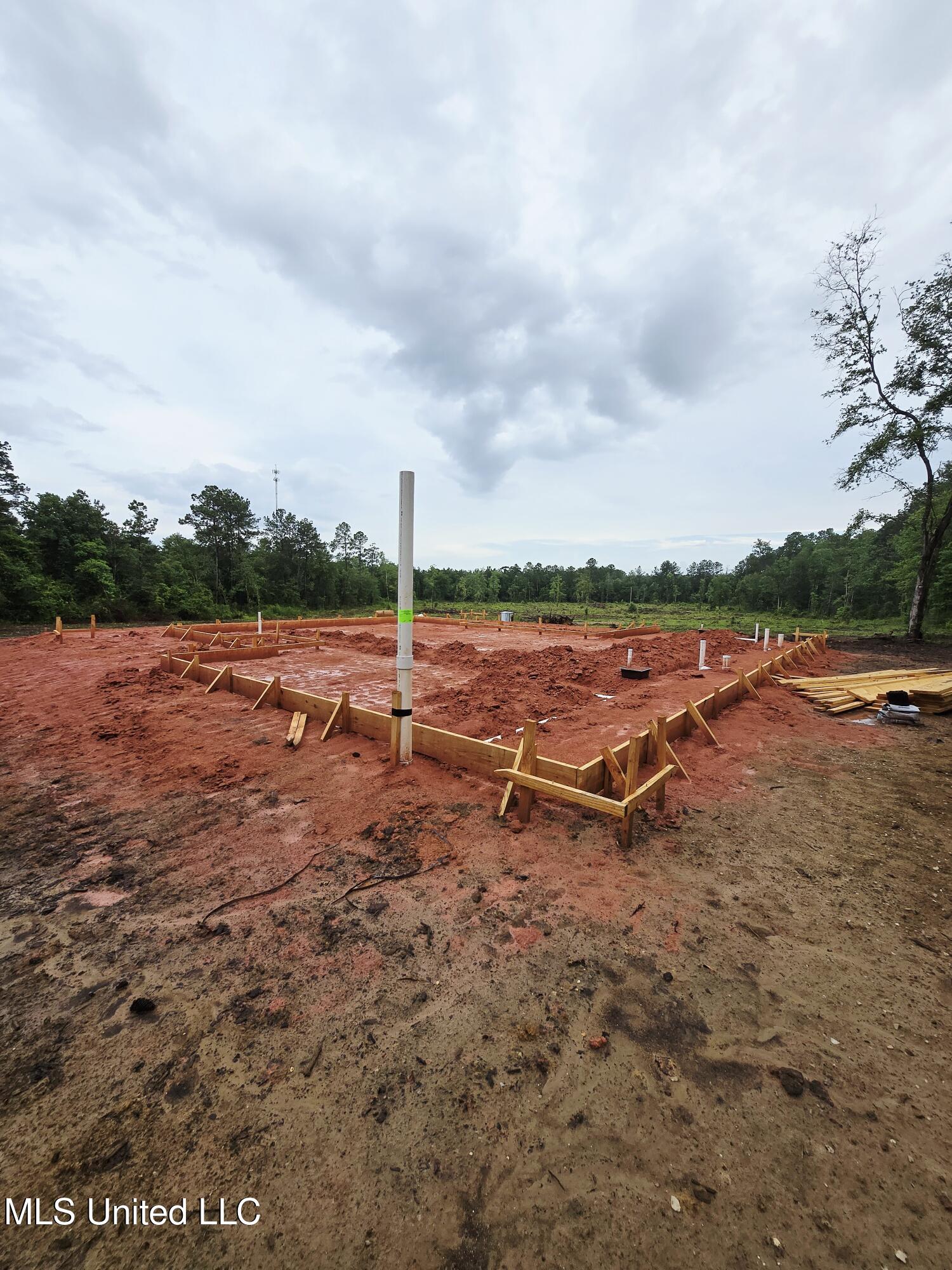 236 Baucum Road Carriere, MS 39426 - Photo 4 of 9 20250608_182553