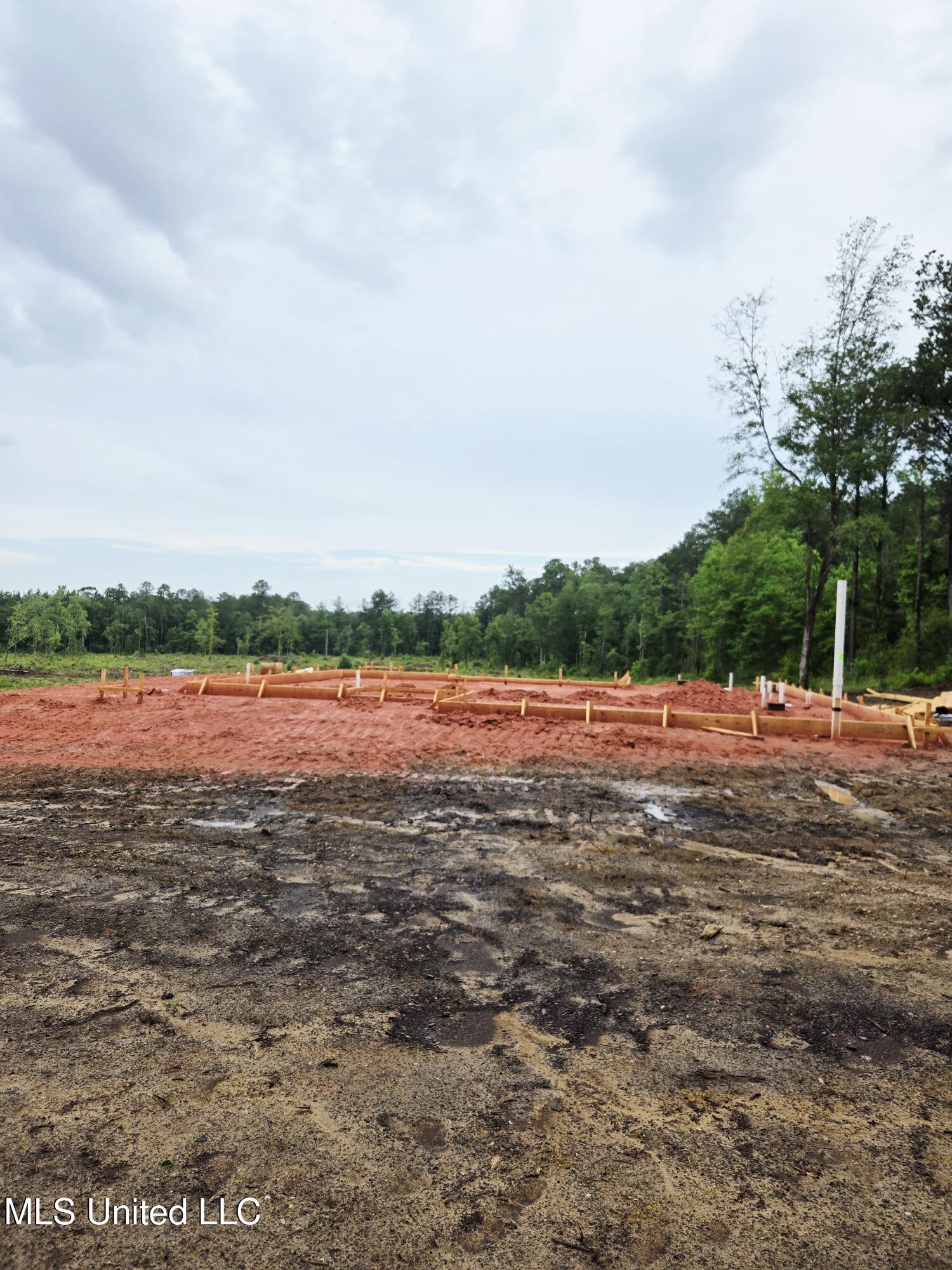 236 Baucum Road Carriere, MS 39426 - Photo 5 of 9 20250608_182809