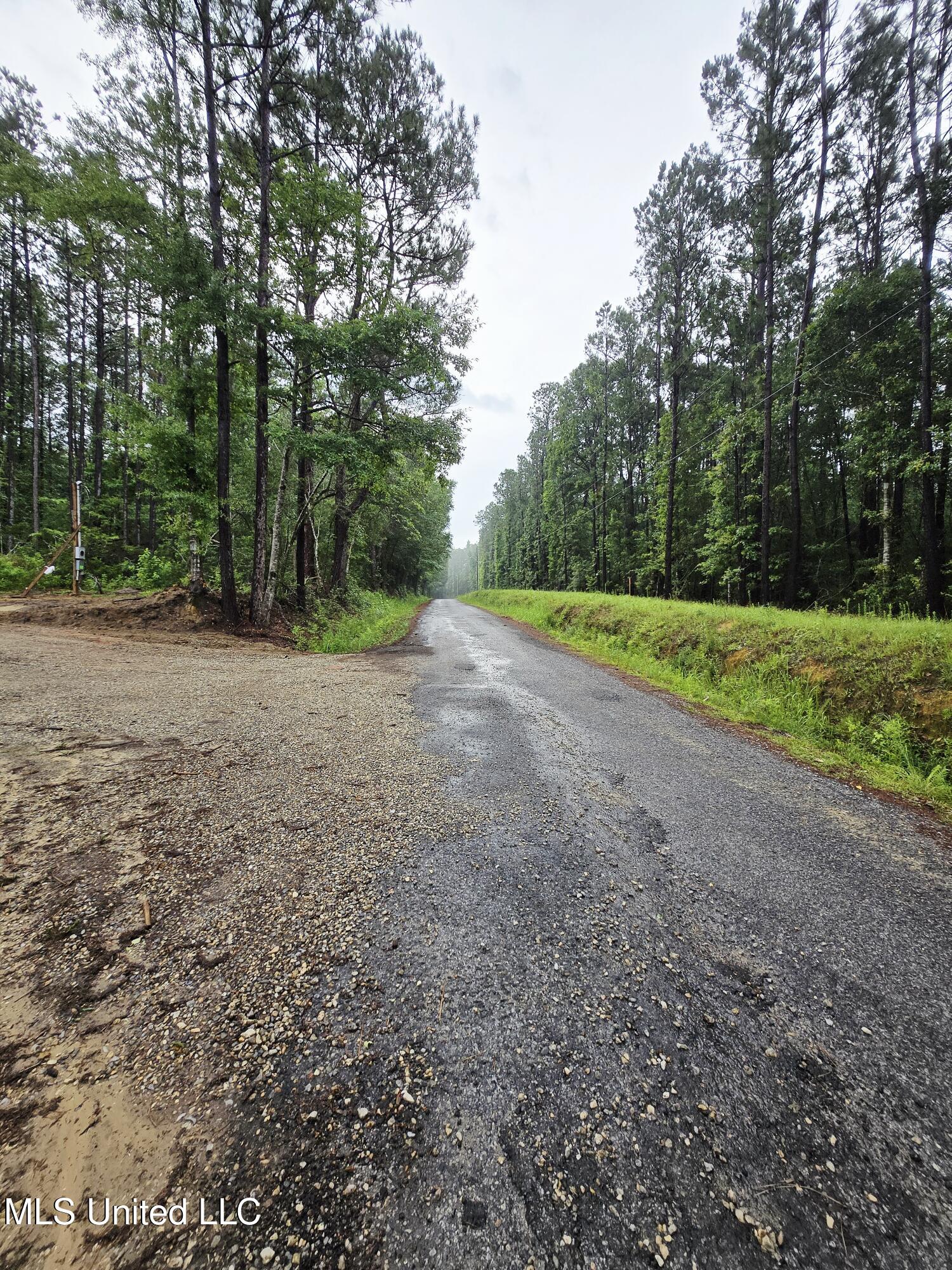 236 Baucum Road Carriere, MS 39426 - Photo 6 of 9 Road View