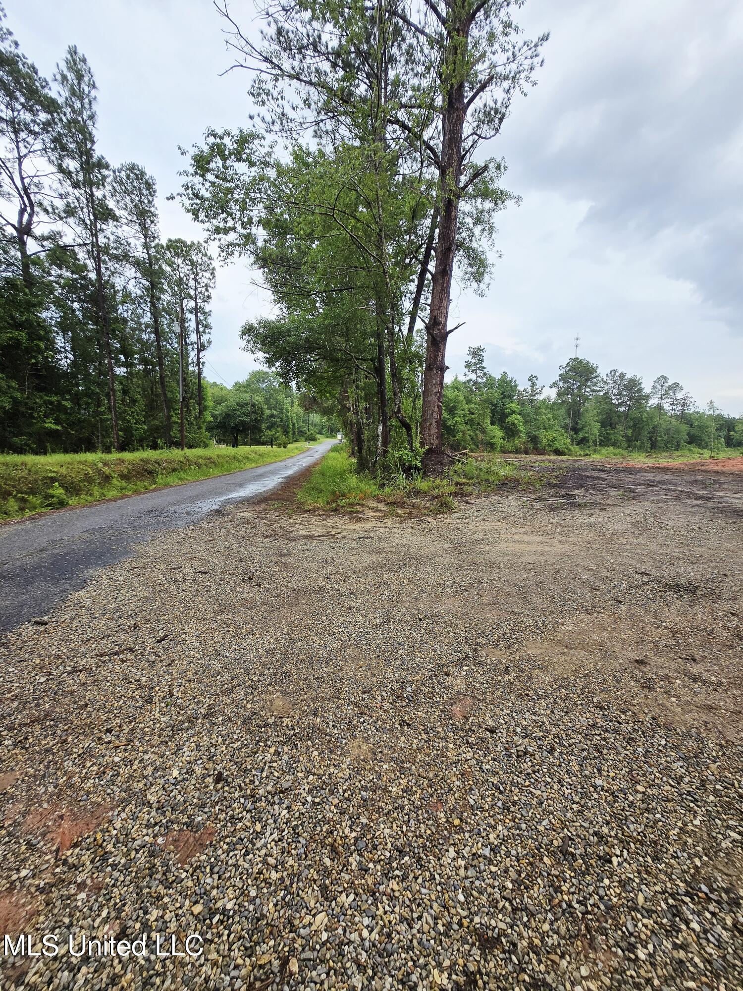 236 Baucum Road Carriere, MS 39426 - Photo 7 of 9 Road View 2