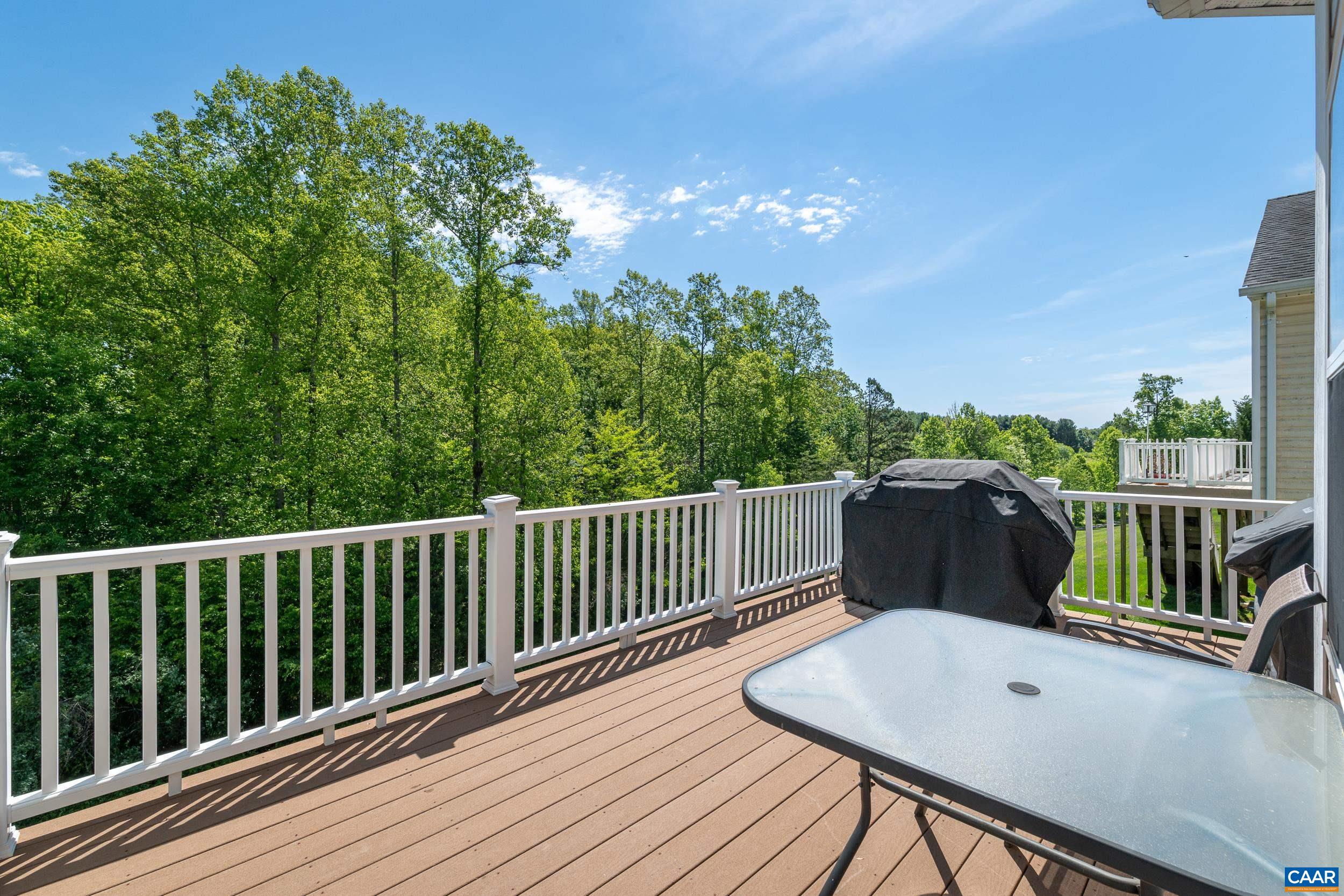 329 John Rucker Drive Ruckersville, VA 22968 - Photo 57 of 75 Back Deck
