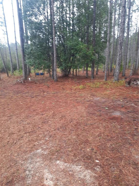 a view of outdoor space with trees