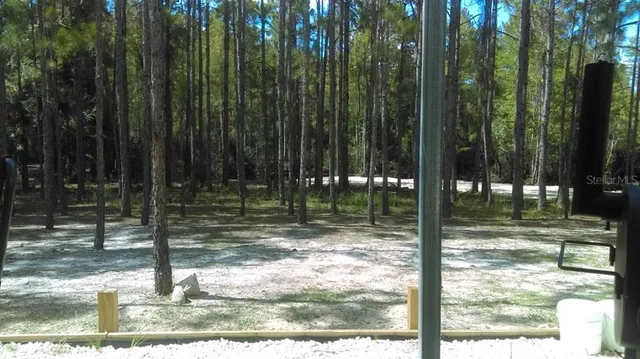 a view of swimming pool from a window