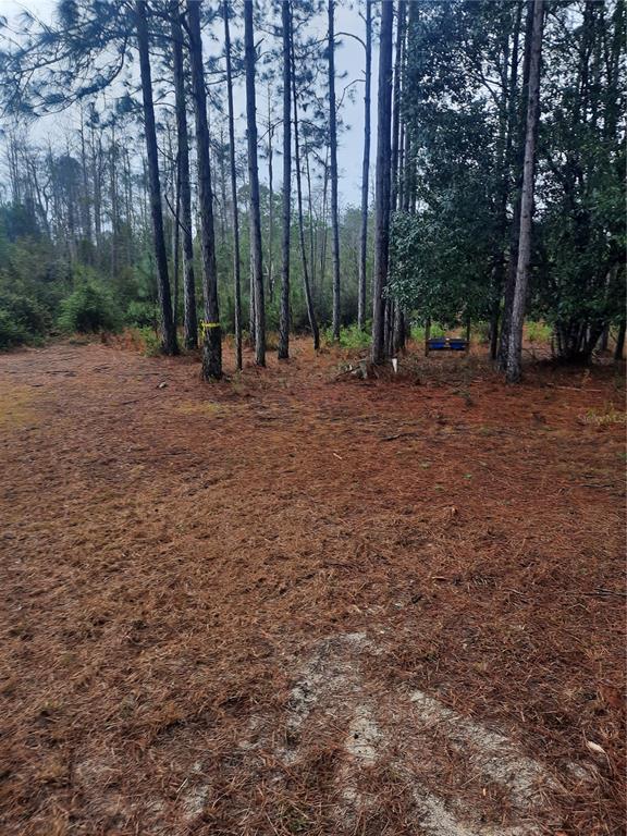 540 Southwest 326th Avenue Steinhatchee, FL 32359 - Photo 2 of 11
