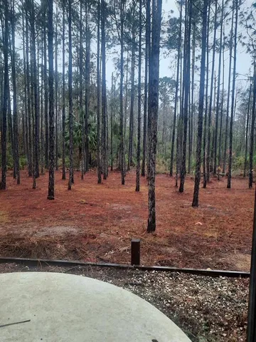 a view of outdoor space with trees