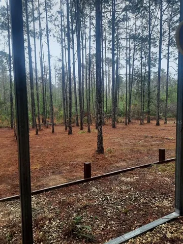 a view of a yard with large trees