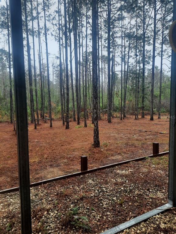 540 Southwest 326th Avenue Steinhatchee, FL 32359 - Photo 6 of 11