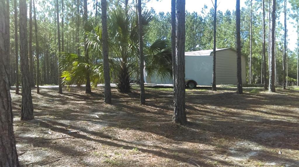 540 Southwest 326th Avenue Steinhatchee, FL 32359 - Photo 10 of 11