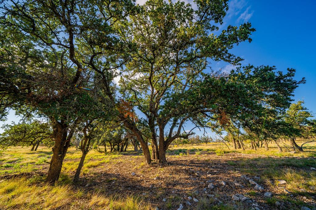Lot 42 Reservation Road, Unit 42 Harper, TX 78631 - Photo 1 of 6 Main View