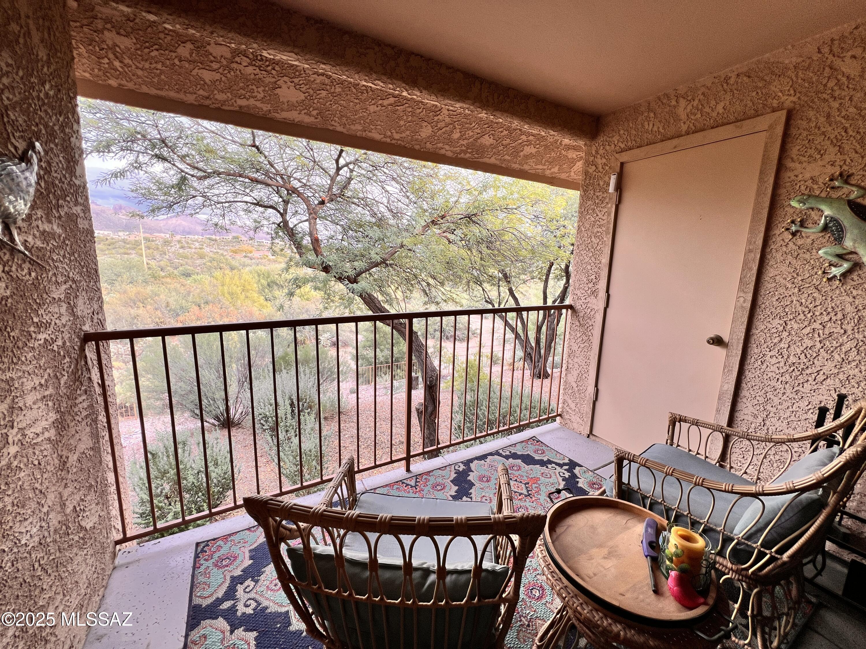 7255 East Snyder Road, Unit 7204 Tucson, AZ 85750 - Photo 27 of 29 IMG_6237