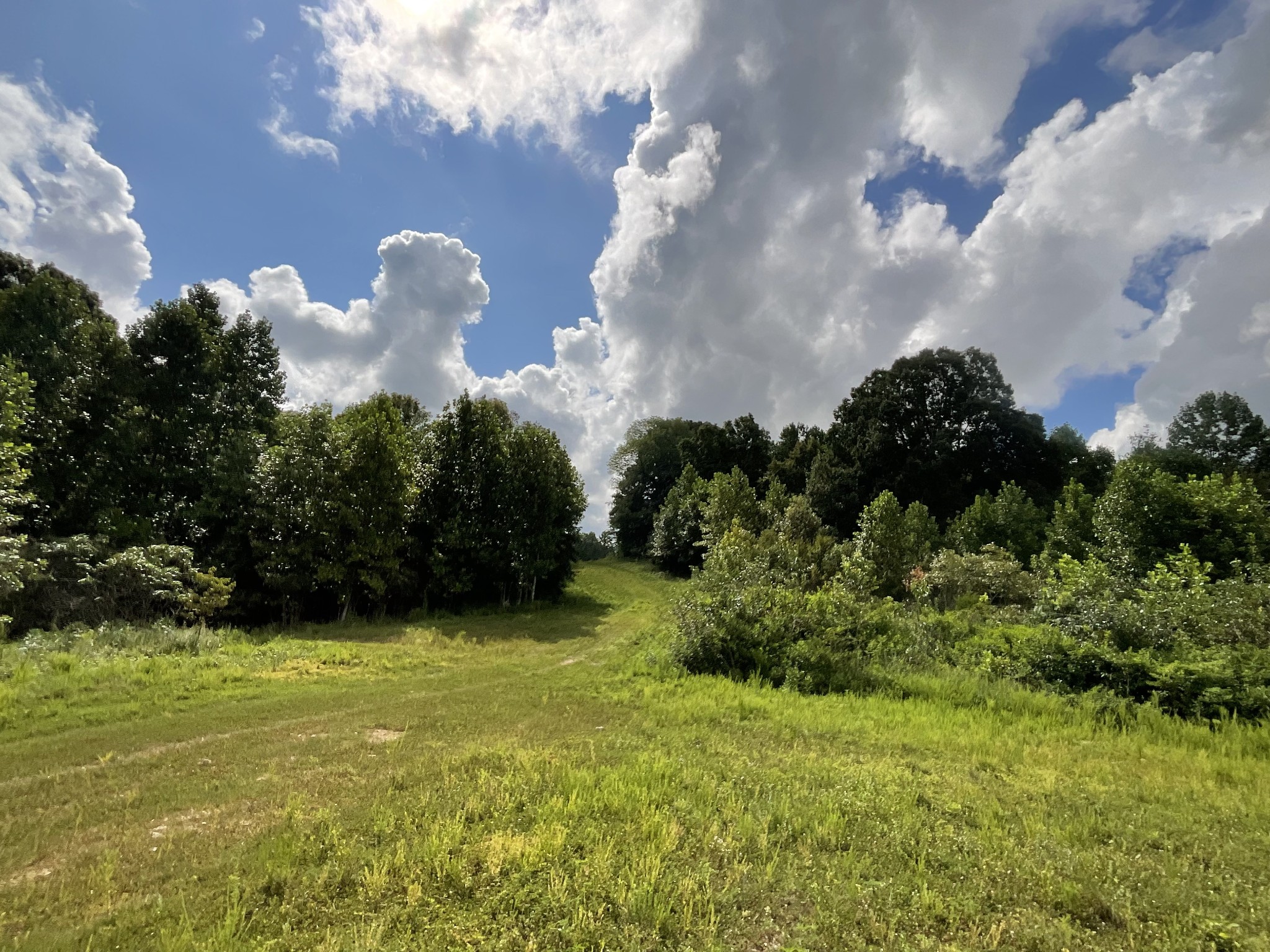 0 Edwards Lane McEwen, TN 37101 - Photo 12 of 100