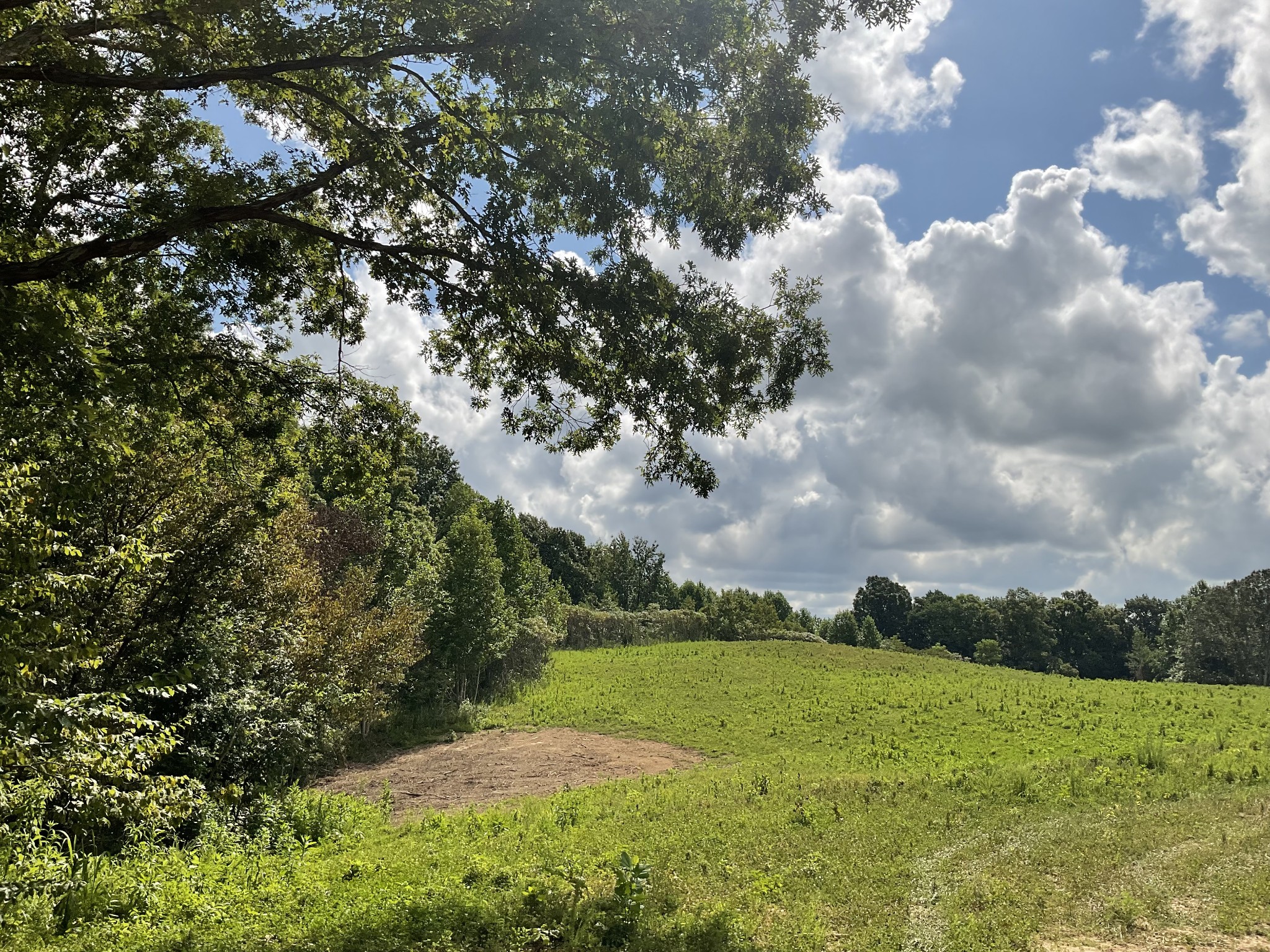 0 Edwards Lane McEwen, TN 37101 - Photo 18 of 100