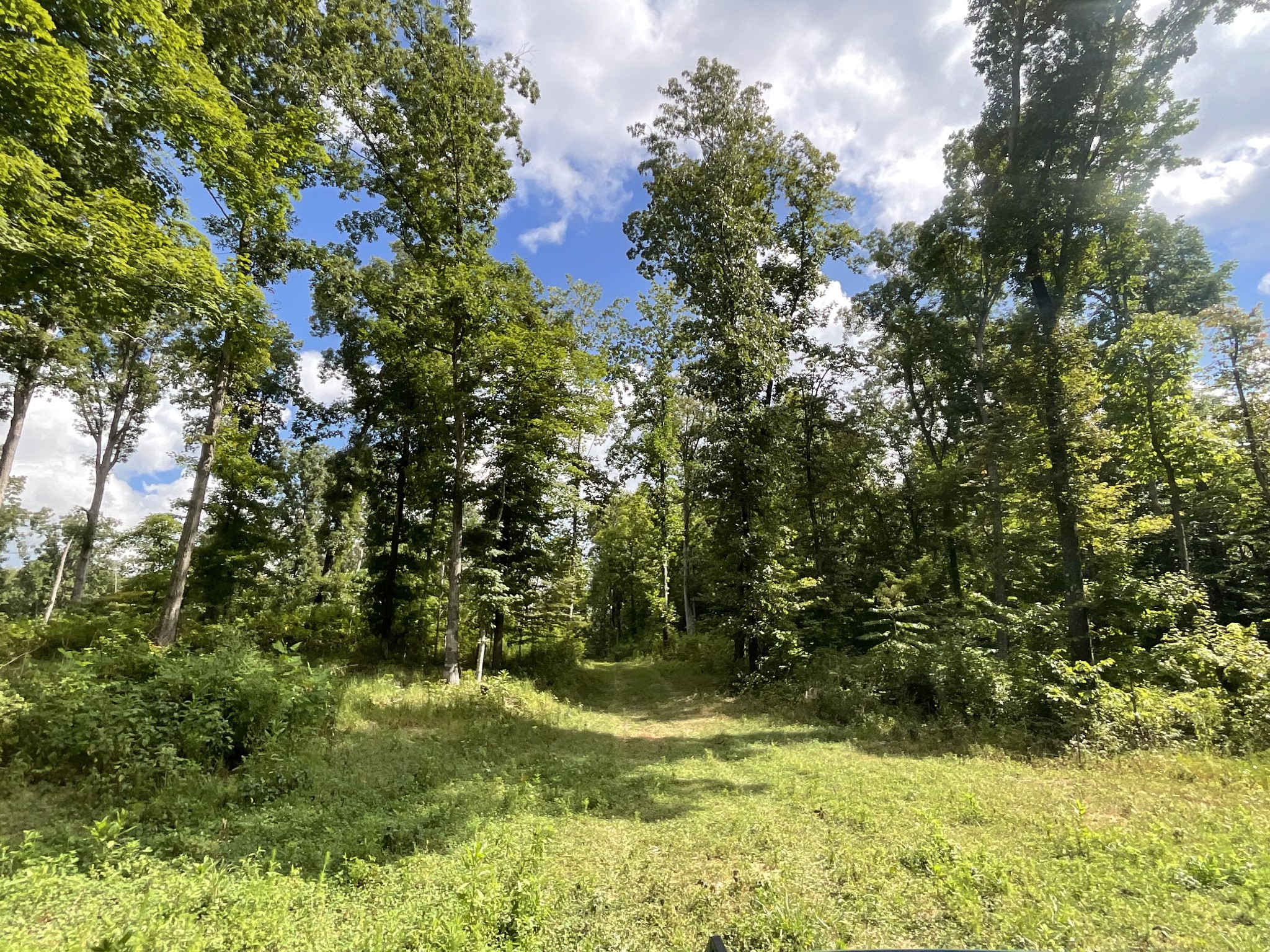 0 Edwards Lane McEwen, TN 37101 - Photo 21 of 100