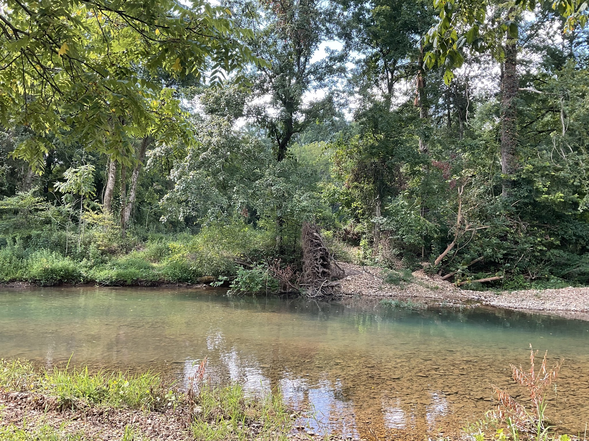 0 Edwards Lane McEwen, TN 37101 - Photo 26 of 100