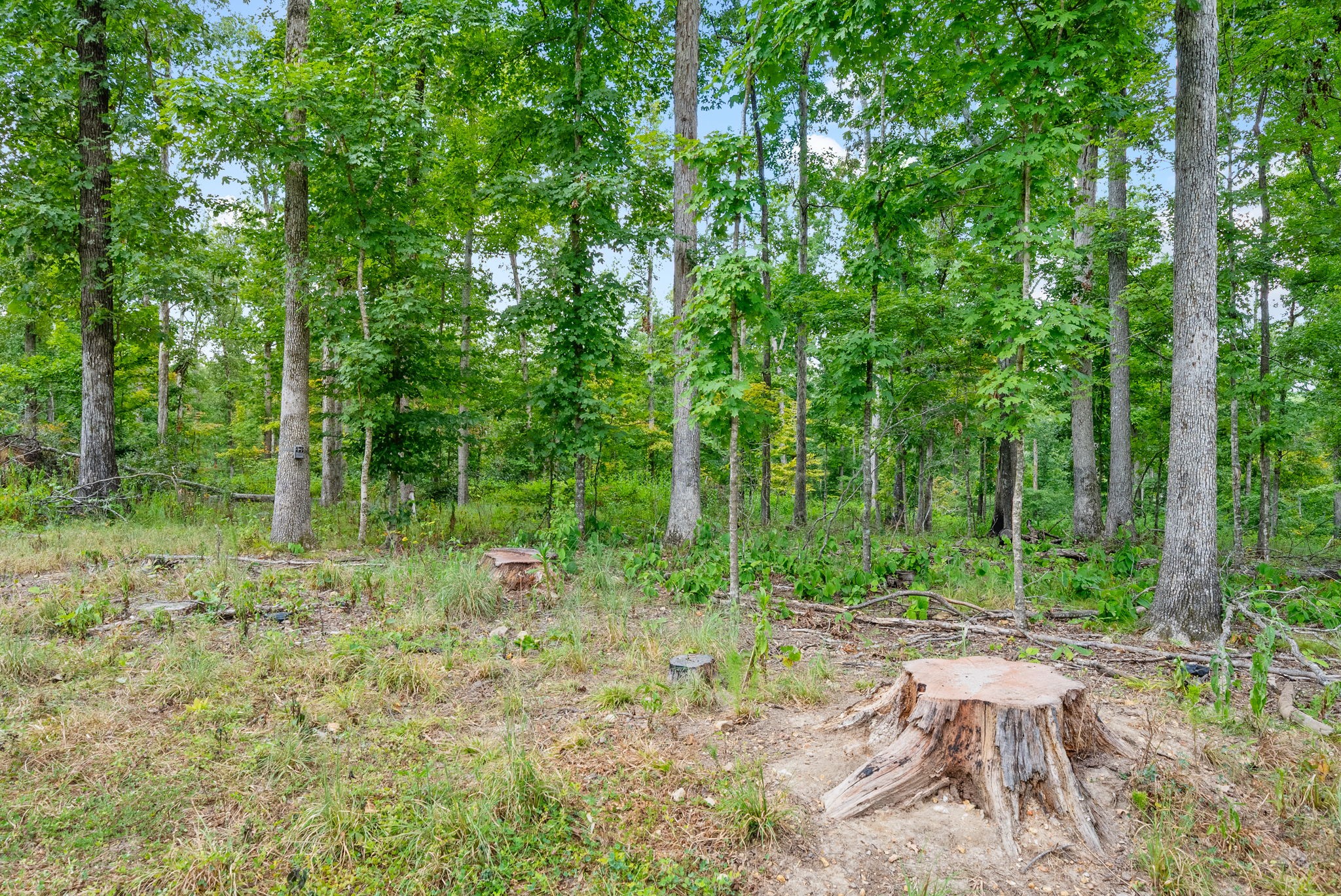0 Edwards Lane McEwen, TN 37101 - Photo 37 of 100