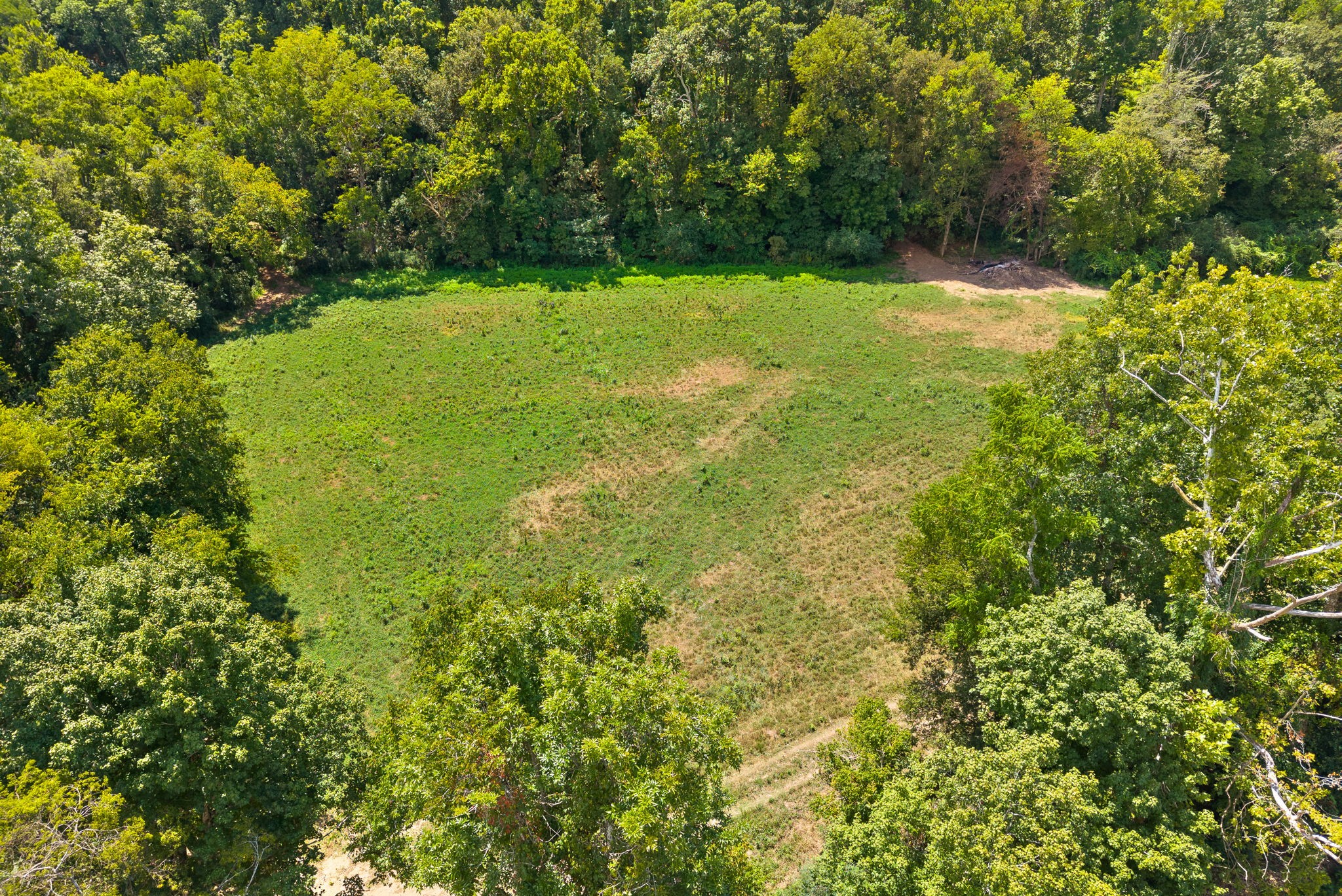 0 Edwards Lane McEwen, TN 37101 - Photo 57 of 100