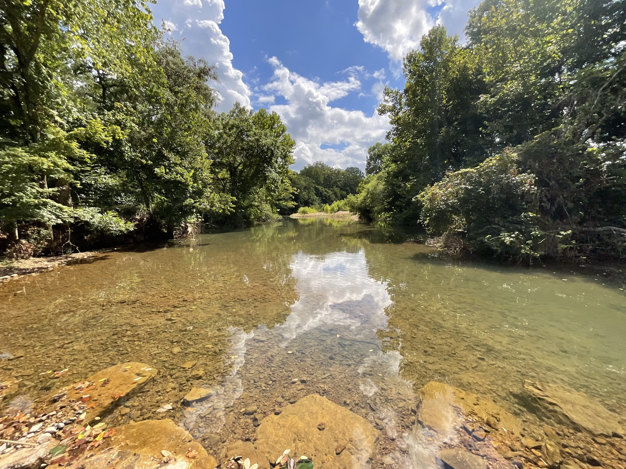 0 Edwards Lane McEwen, TN 37101 - Photo 60 of 100