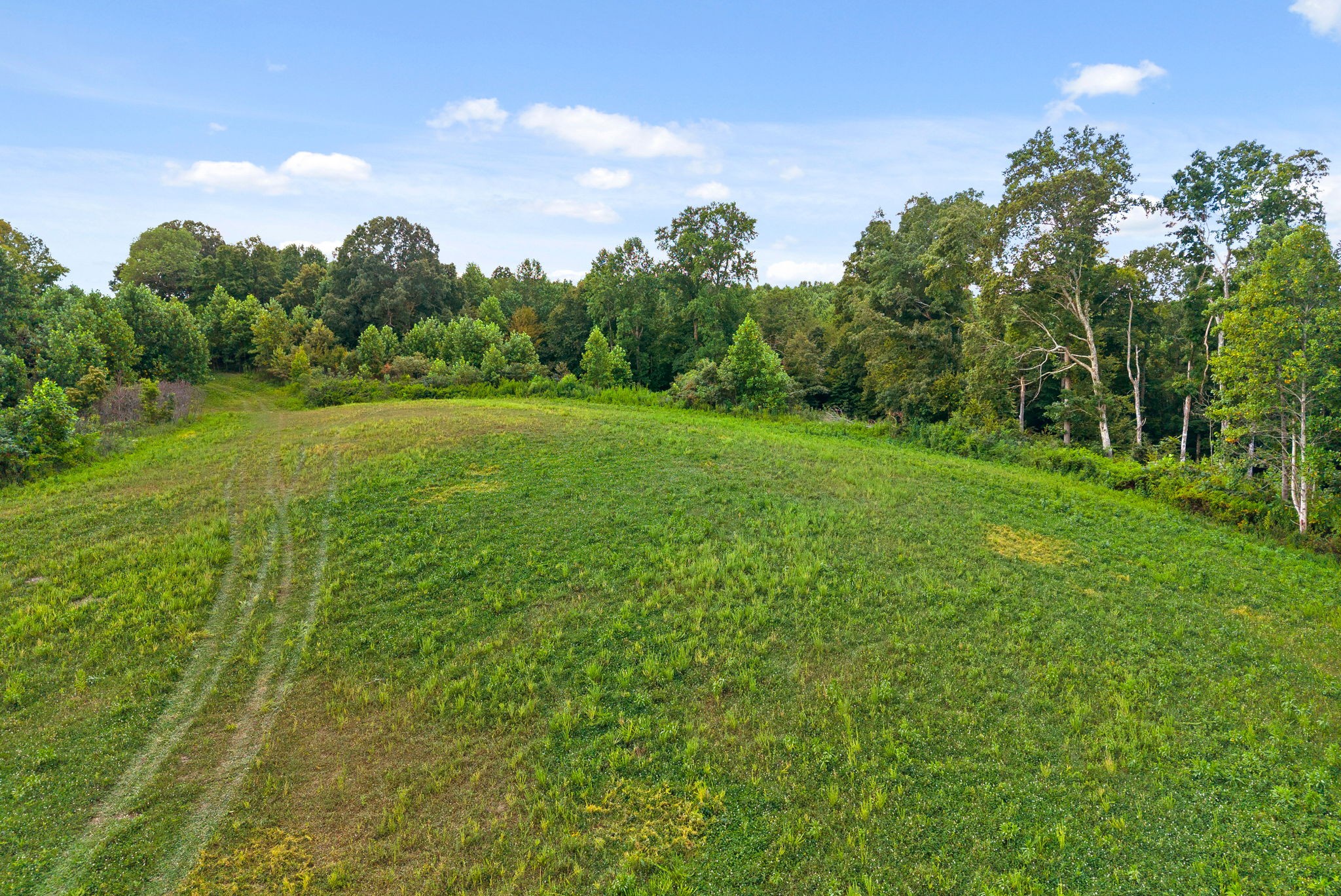 0 Edwards Lane McEwen, TN 37101 - Photo 6 of 100
