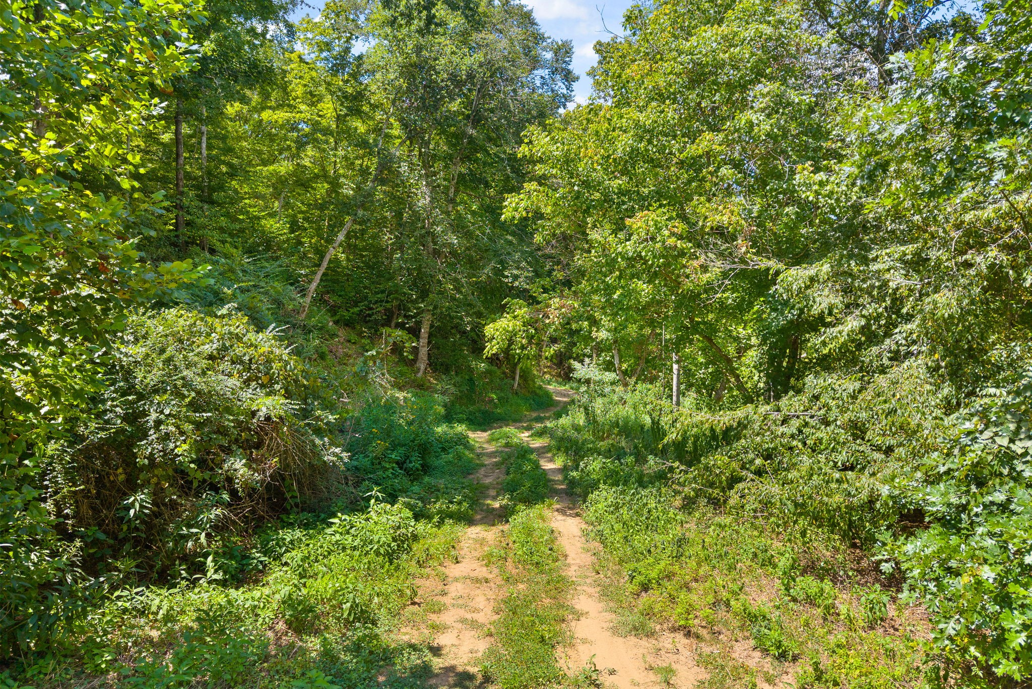 0 Edwards Lane McEwen, TN 37101 - Photo 61 of 100