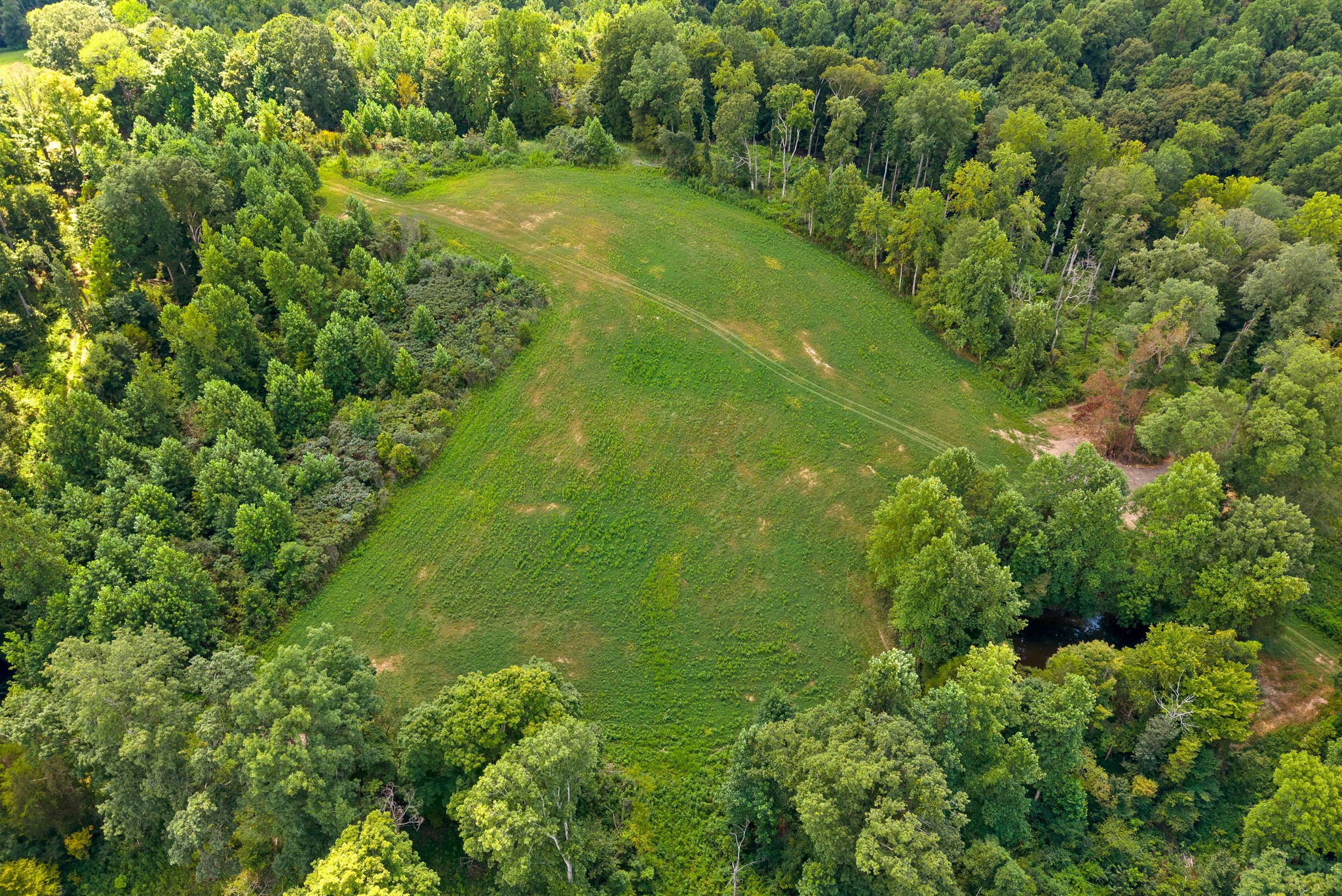 0 Edwards Lane McEwen, TN 37101 - Photo 67 of 100