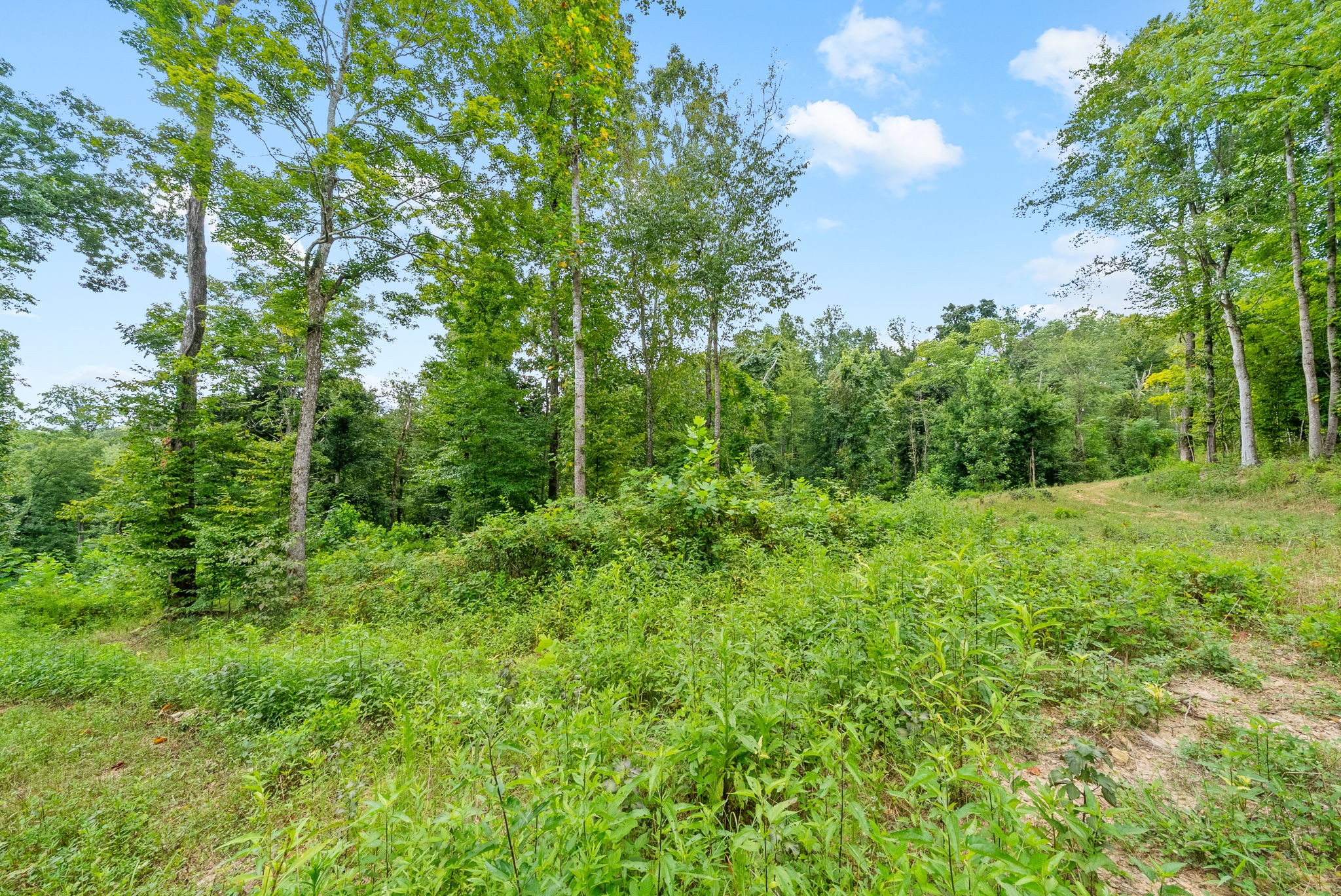 0 Edwards Lane McEwen, TN 37101 - Photo 69 of 100