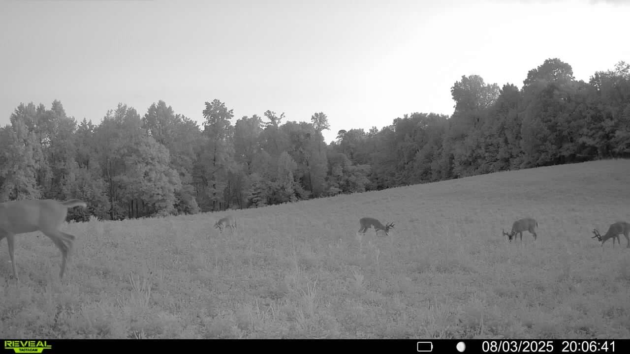 0 Edwards Lane McEwen, TN 37101 - Photo 70 of 100