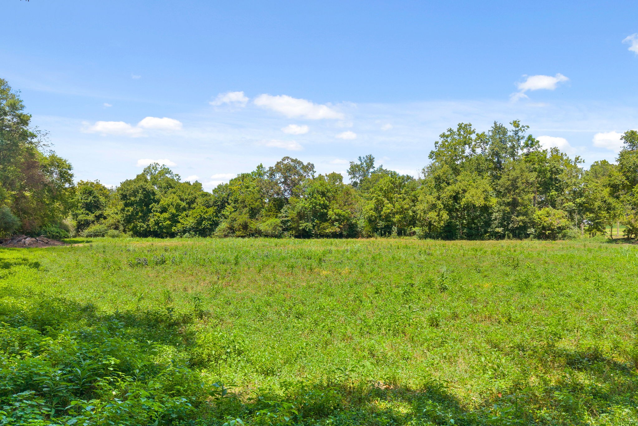 0 Edwards Lane McEwen, TN 37101 - Photo 71 of 100
