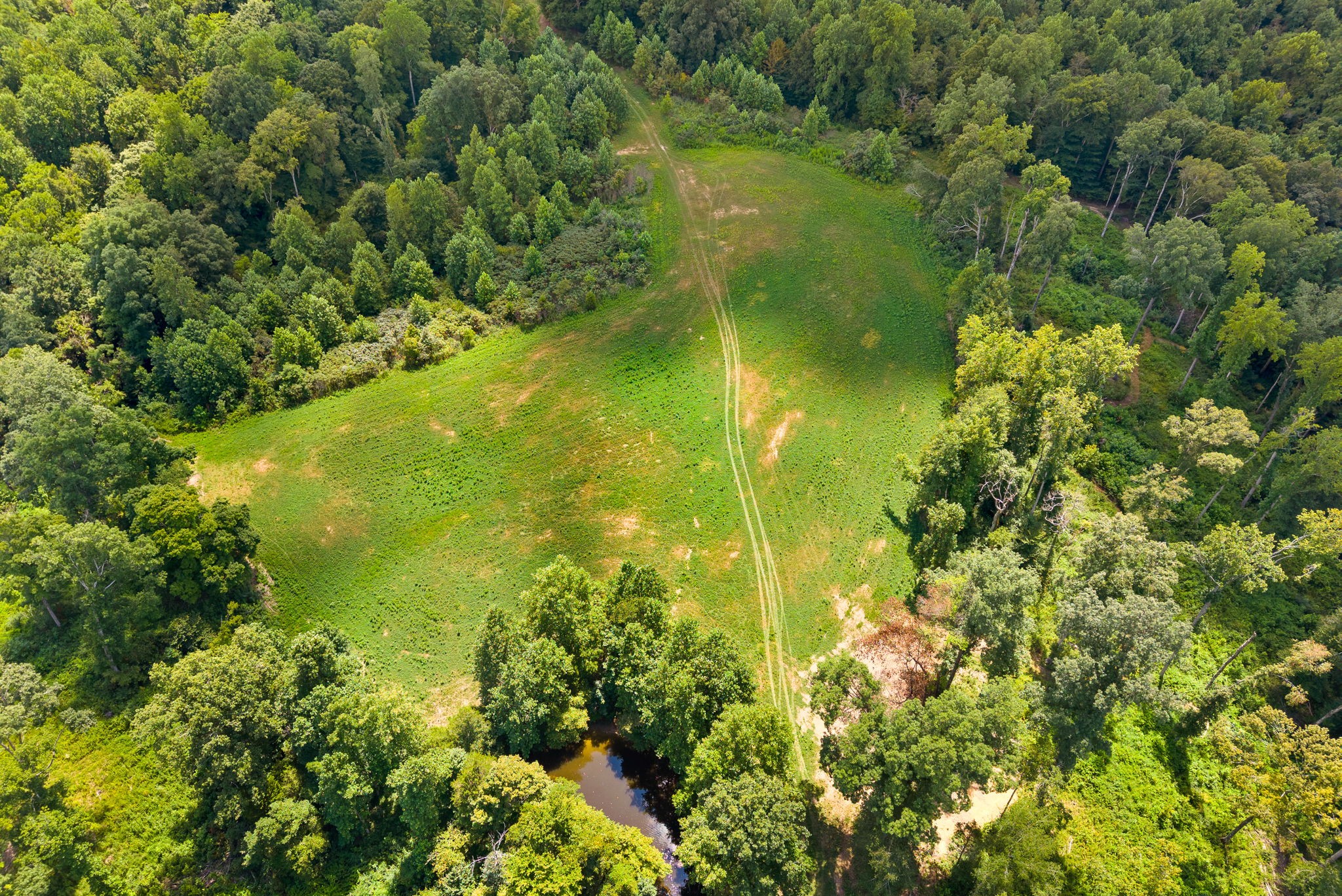 0 Edwards Lane McEwen, TN 37101 - Photo 72 of 100