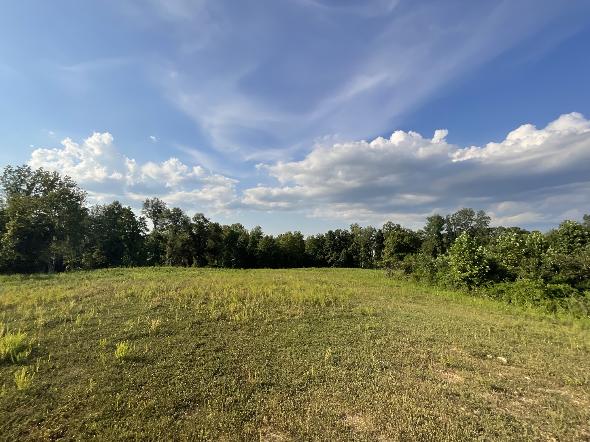 0 Edwards Lane McEwen, TN 37101 - Photo 74 of 100