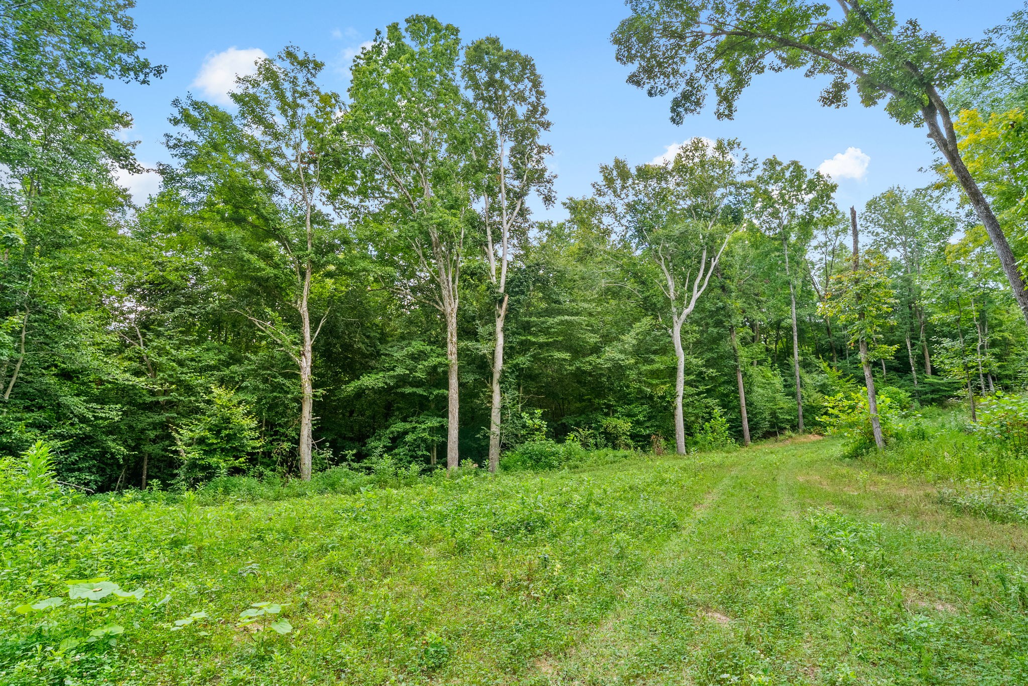 0 Edwards Lane McEwen, TN 37101 - Photo 75 of 100