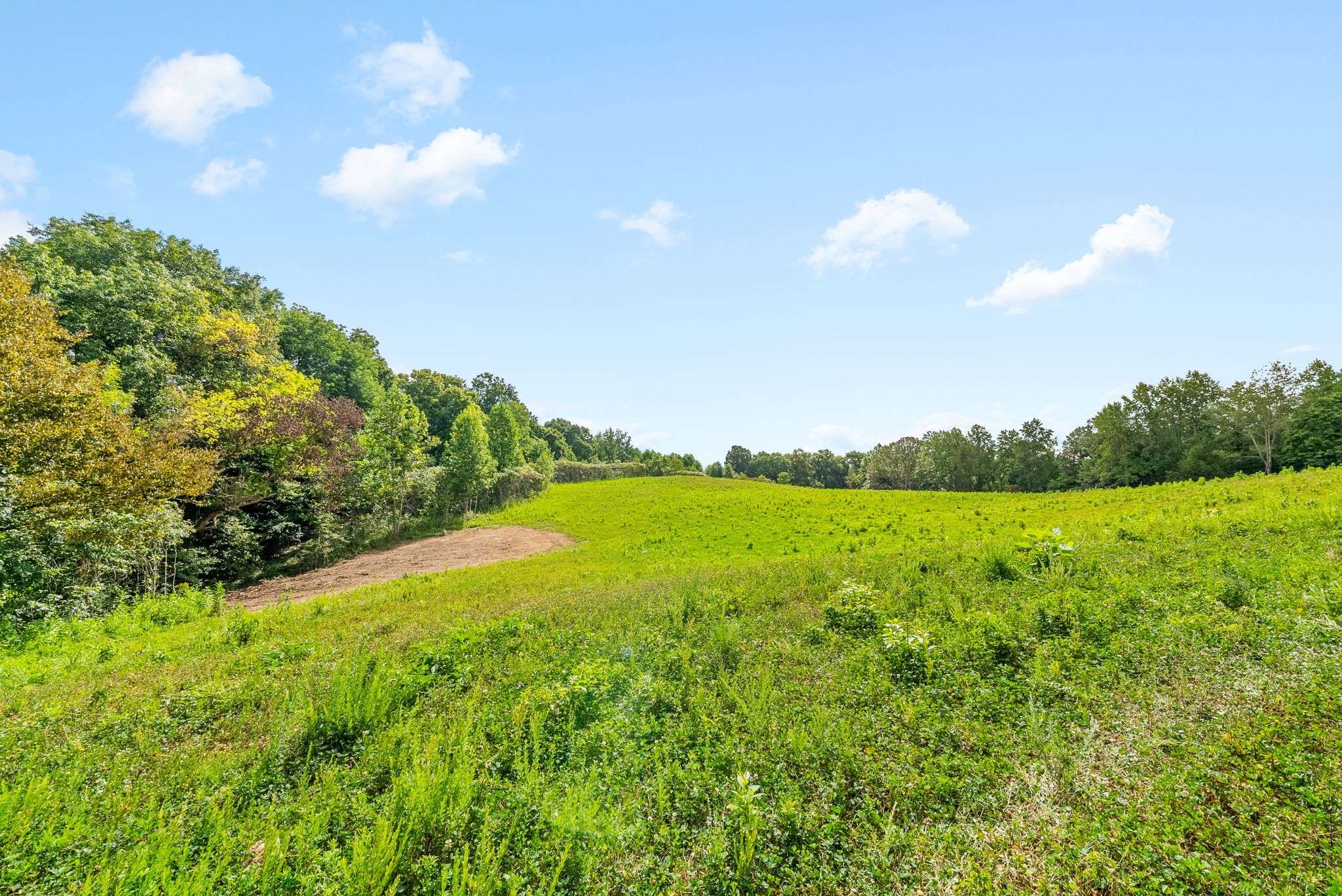 0 Edwards Lane McEwen, TN 37101 - Photo 76 of 100