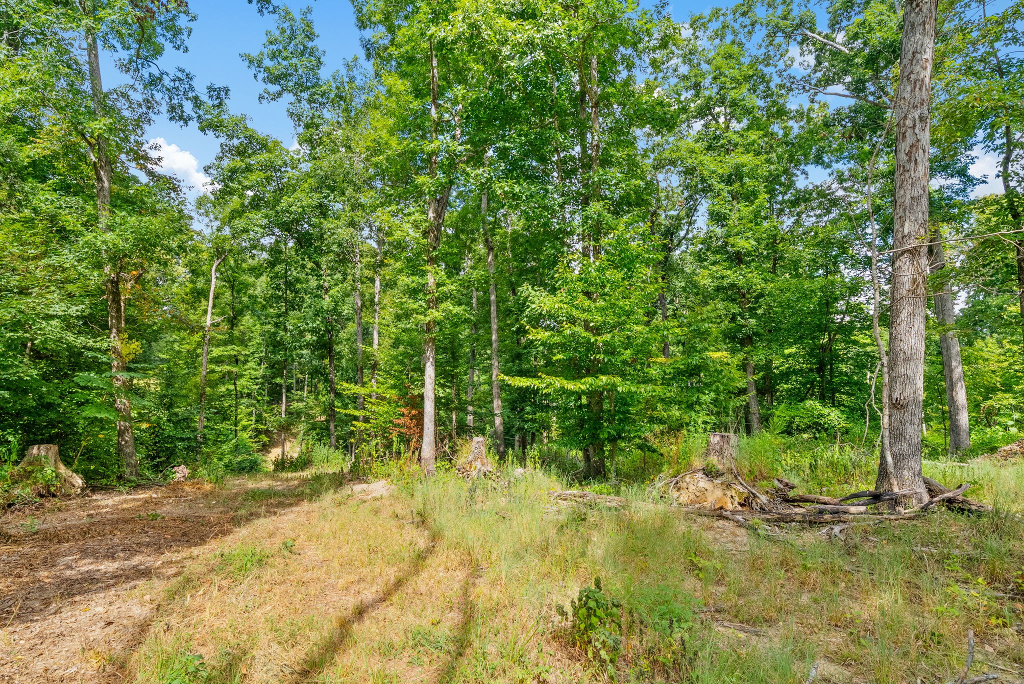 0 Edwards Lane McEwen, TN 37101 - Photo 77 of 100