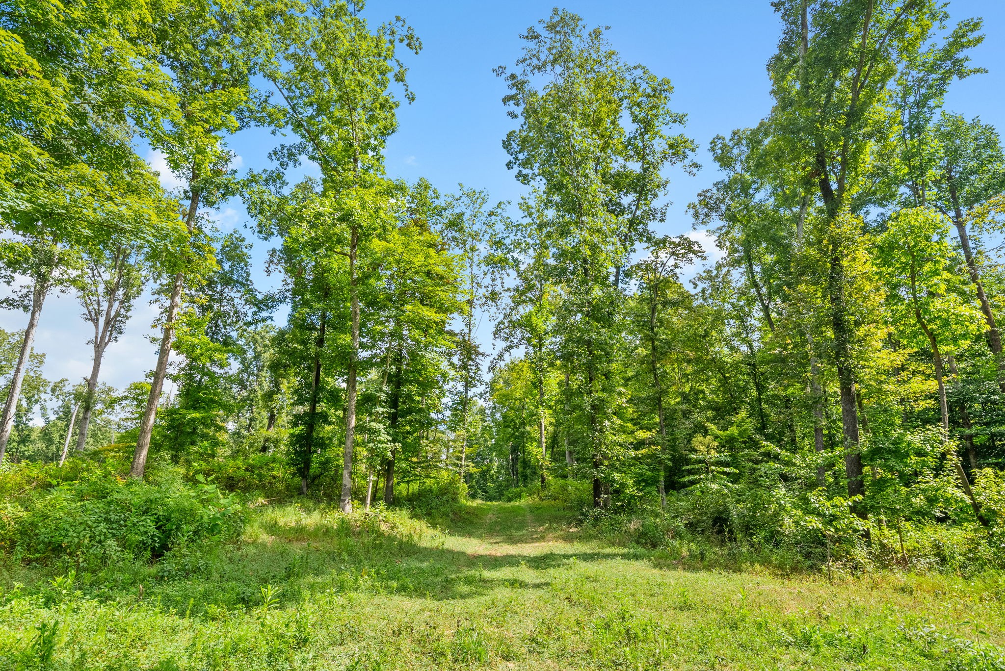 0 Edwards Lane McEwen, TN 37101 - Photo 78 of 100