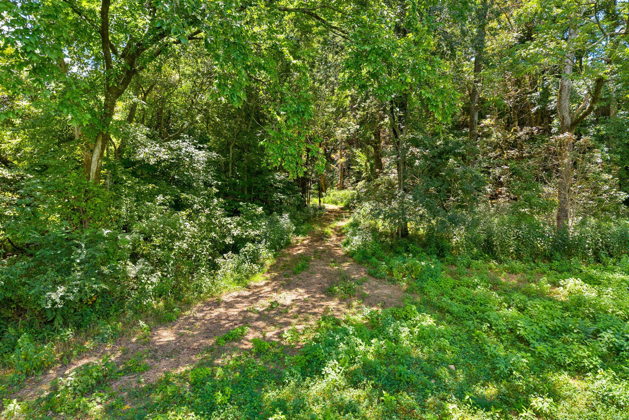 0 Edwards Lane McEwen, TN 37101 - Photo 80 of 100