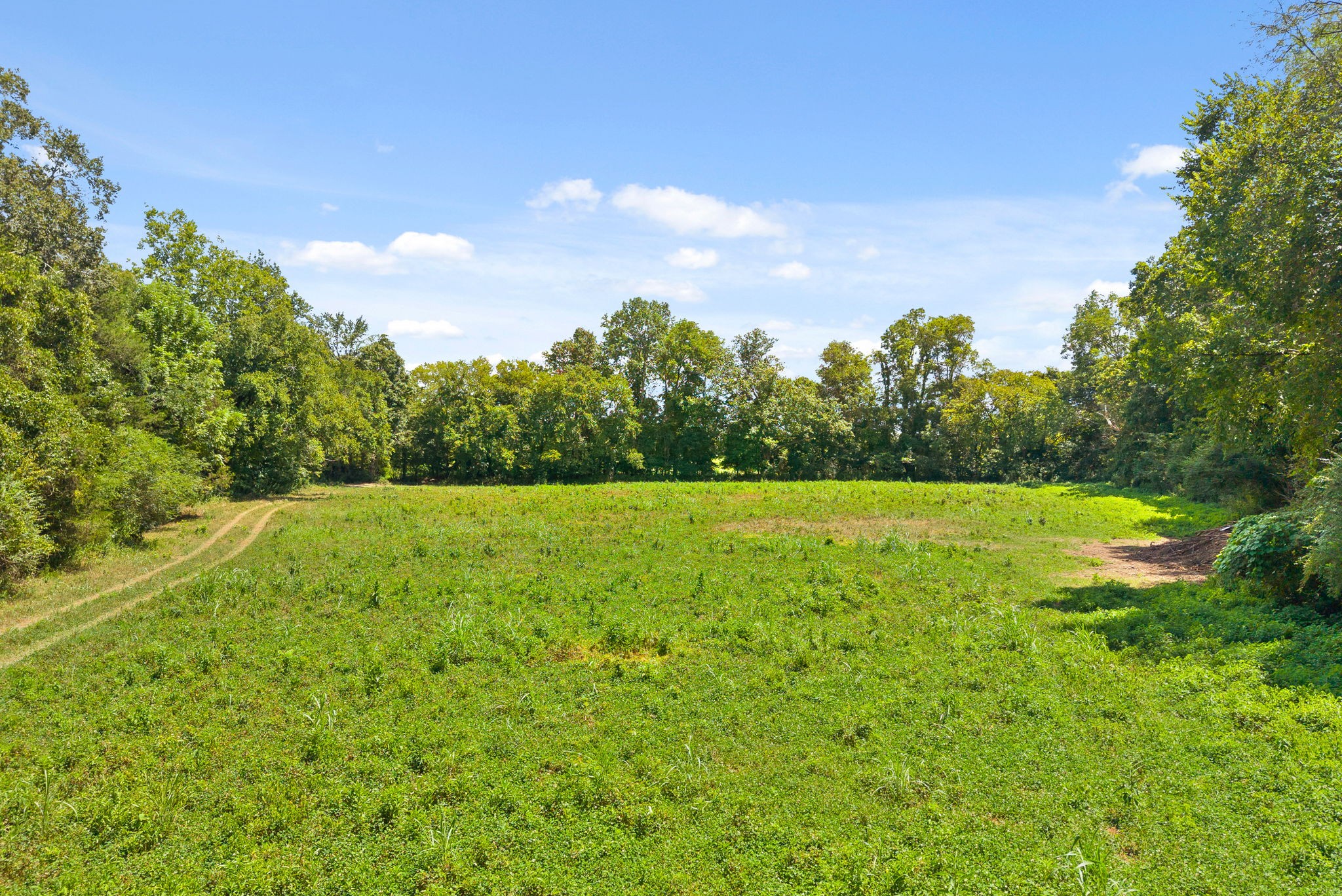 0 Edwards Lane McEwen, TN 37101 - Photo 8 of 100