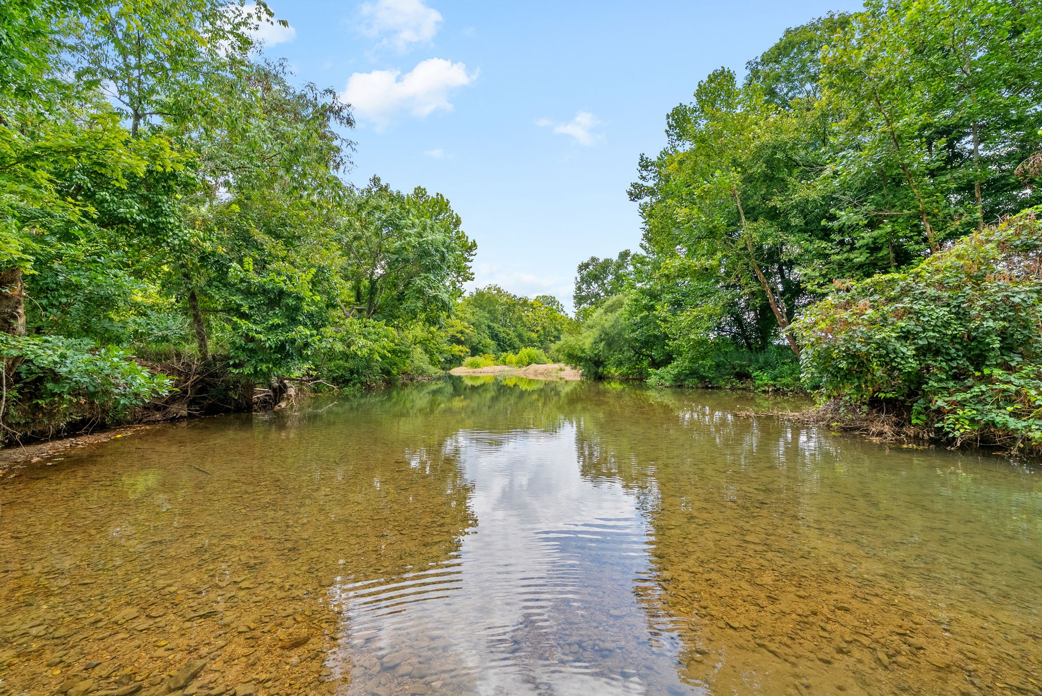 0 Edwards Lane McEwen, TN 37101 - Photo 81 of 100